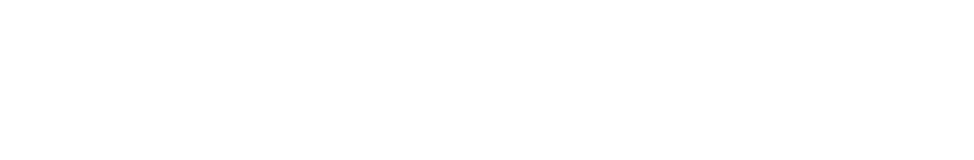 Efficient Flow Logo